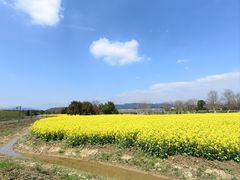 -径山花海