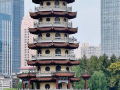 -宝岛公园