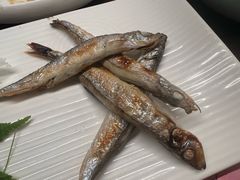 -黑松白鹿(金融街店)