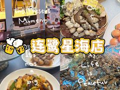 -连鹭海鲜·海肠捞饭·海胆饭(星海店)
