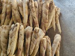 -众神白水涧景区