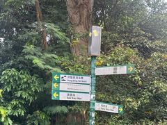 -南丫岛