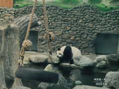 -神农架景区