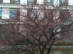 -太湖湾开元名庭大酒店