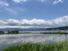 -洱海月湿地公园