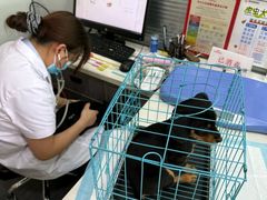 -pd派德宠物中心医院24H急重症·眼科中心·血液透析中心(嵩山北路店)