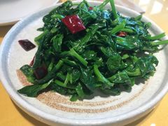 -素虎小呆鸟(西二旗店)
