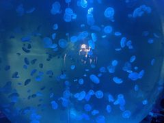 -江和美海洋公园
