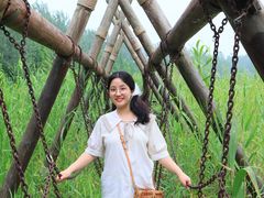 -溱湖国家湿地公园