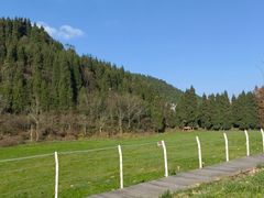 -武陵山森林公园