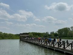 -溱湖国家湿地公园