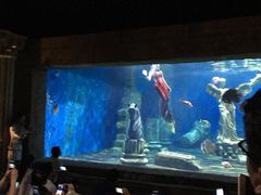 -梦幻海洋王国(吾悦广场张家港店)