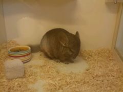 -龙猫仔乐园(惠福东路店)