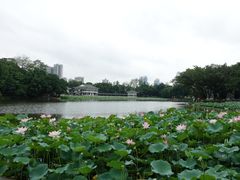 景点-荔湾湖公园
