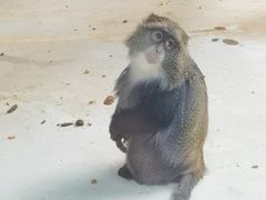 -太原动物园