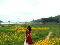 -青岛银沙滩