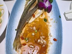 -33号大院·青岛本帮菜(五四广场店)