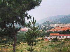-崂山仰口游览区