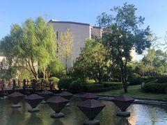 -上海崇明金茂凯悦酒店