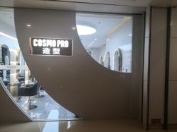 -COSMO PRO造型