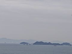 -杨梅坑