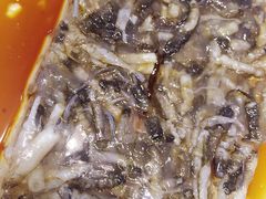 -渔傅·蓝海岸霞浦海鲜(正祥店)