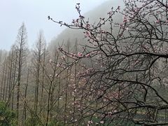 -五泄景区