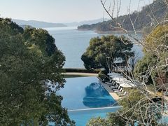 -逸廊大堂吧-下午茶·简餐-千岛湖自由洲际殿
