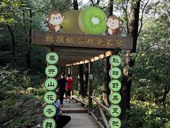 -大岭沟猕猴桃谷风景区