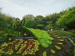 -穹窿山景区