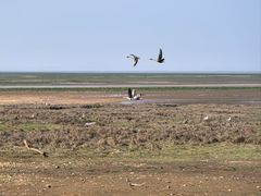 -鄱阳湖国家湿地公园