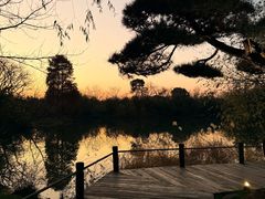 -新荣记(西溪湿地店)