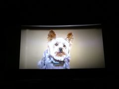 -保利国际影城(万家邻里店)