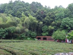 -杭州西湖风景名胜区-三生石