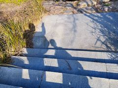 -长田漾湿地公园