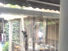 -醉月城西昌火盆烧烤(天府店)