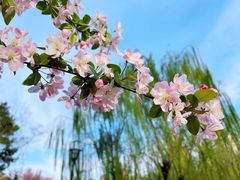 -海棠花溪(元大都城垣遗址公园)