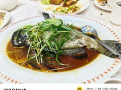 -凤城礼记鱼翅海鲜酒家(新马路总店)