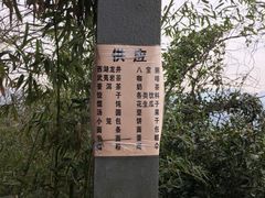 -九曜山