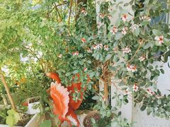 -春树下·树屋花房西餐厅(罍街AS1980店)