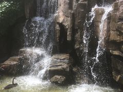-燕塞湖鸟语林景区