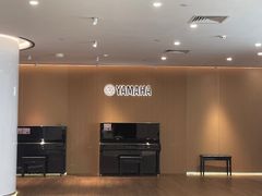 -雅马哈乐器专卖店(广州旗舰店)