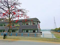 -王借岗森林公园