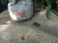 -呀诺达热带雨林