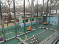 -金雁飞鸣双语幼儿园