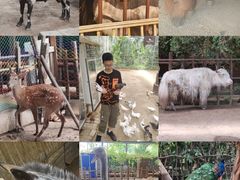 -呀路古热带植物园