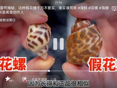 -小院烤肉(公园南路店)