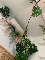 -肌理言健康美肌驻颜所