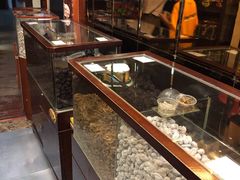 -延福橄榄(三坊七巷店)