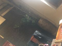 -普洱茶府(博乐广场店)
